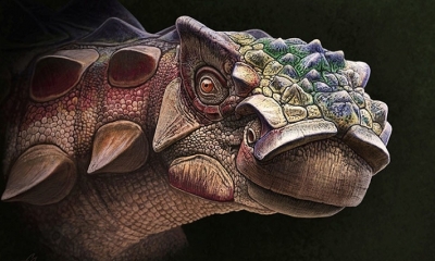 Imagen Ilustrativa. Foto: RT 