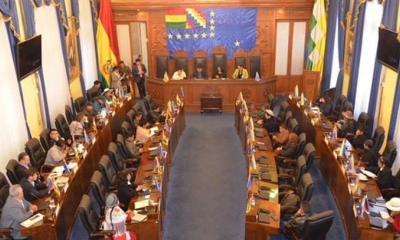 El MAS aprueba en el Senado ley de garantías constitucionales. 