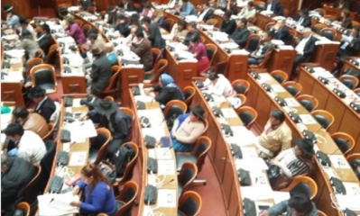 Cámara de Diputados de Bolivia /Foto. RRSS