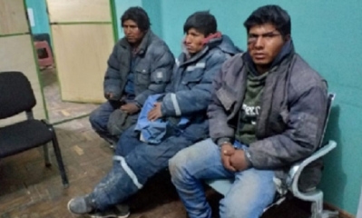 Tenían  10 cueros de vicuña en su poder/Foto. EP