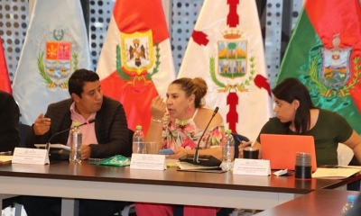 La senadora del Movimiento Al Socialismo (MAS), Patricia Arce ( c )