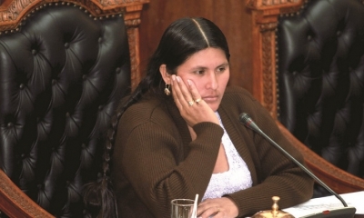 La diputada del Movimiento Al Socialismo (MAS), Adriana Arias