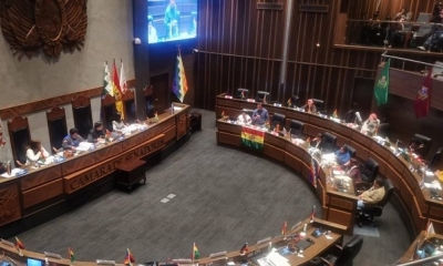 Sesión del Senado que rechazó la reposición de la ley de elecciones.