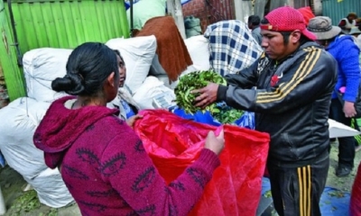 Venta de  coca 