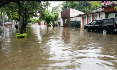 Cabrera dijo que los fenómenos climáticos, como la lluvia, el granizo y las inundaciones, afectaron también 823 hectáreas de cultivos