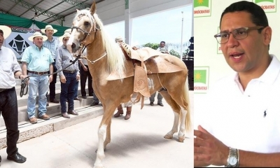 Ganaderos del Beni, le regalaron un caballo a Evo Morales/Foto. Kandire