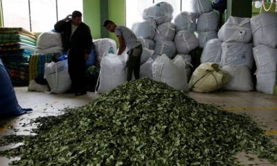IMAGEN REFERENCIAL/Foto. RRSS