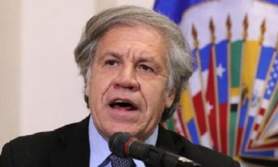 Luis Almagro/Foto. Captura de pantalla
