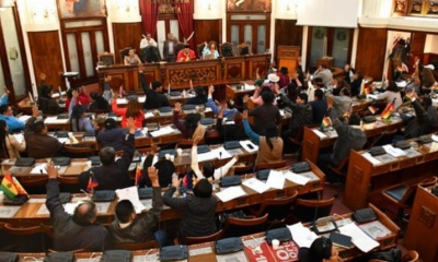 El pleno de la Cámara de Diputados.
