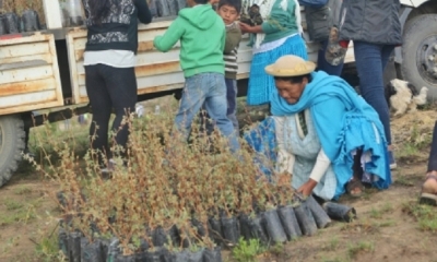 Silva señaló que se prevé que se sembrarán centenas de plantines de diversas especies para recuperar la calidad ambiental en esos barrios.