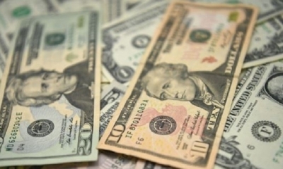 Billetes en dólares. / RRSS
