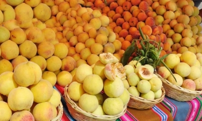Duraznos de San Benito/Foto. RRSS