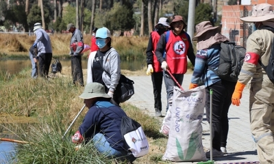 Funcionarios públicos limpiaron la laguna de Achocalla 