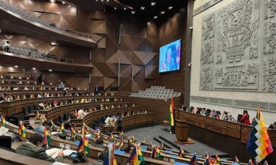La Asamblea Legislativa Plurinacional.