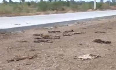 Las investigaciones continúan/Foto. Captura de pantalla