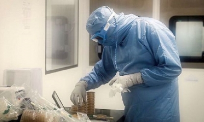 Estados Unidos invirtió casi 1 000 millones de dólares para apoyar las investigaciones. | Fuente: EFE