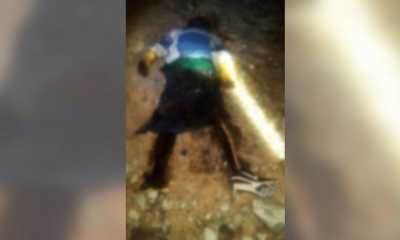 En la comunidad de Galpones, a dos horas de la ciudad de Villa Montes, fue encontrado el cadáver de una persona de sexo masculino
