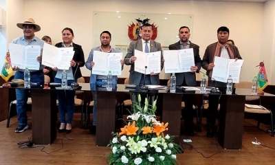 Cooperación Interinstitucional tiene por objeto establecer mecanismos de coordinación