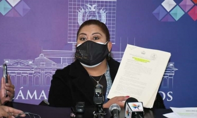 La diputada del MAS, Magaly Gómez