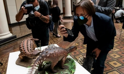 Modelos en miniatura del Stegouros elengassen, una especie de dinosaurio descubierta en la Patagonia en 2018