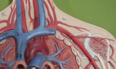 Imagen ilustrativa: Un paso adelante para entender las enfermedades inflamatorias