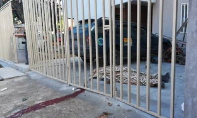 El hecho ocurrió en las calles Florida y Palermo. Foto: Juan Delgadillo