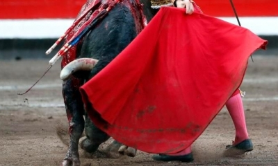 Imagen Referencial. Foto: Internet