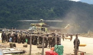 En días pasados uniformados llegaron a esa región de los Yungas para destruir las plantaciones. (Imagen de internet)