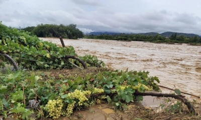 A casi un mes de registrarse las intensas lluvias que provocaron el desborde de diferentes ríos y quebradas en el departamento de Tarija, la Gobernaci