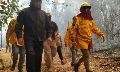 El trabajo en las zonas de incendio. Foto: ABI