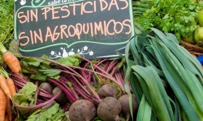 Alimentos orgánicos. Foto. RRSS