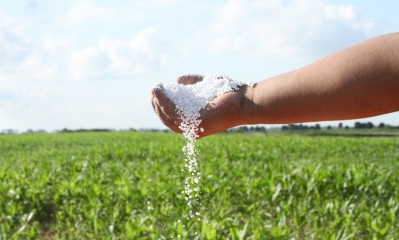 La urea es el fertilizante nitrogenado de mayor demanda a nivel mundial