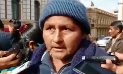 Juana Quispe, diputada del MAS/Foto. RRSS