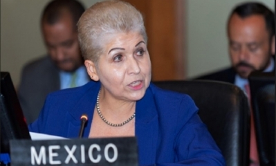 La representante de México ante la Organización de Estados Americanos (OEA), Luz Elena Baños