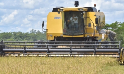 El lineamiento de fortalecimiento a la agricultura está en la agenda 2020-2025/Foto. ADEMAF