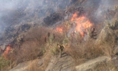 Los incendios continúan/Foto. Captura de pantalla