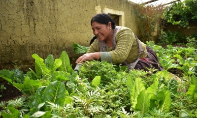 Producción agrícola 