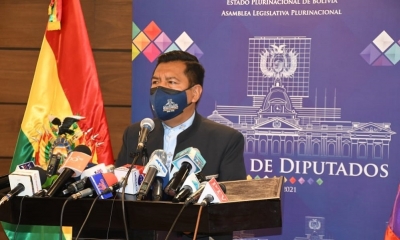 El presidente de la Cámara de Diputados, Freddy Mamani