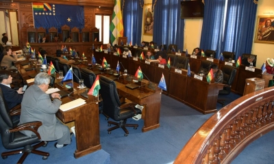 Cámara de Senadores de Bolivia /Foto. RRSS