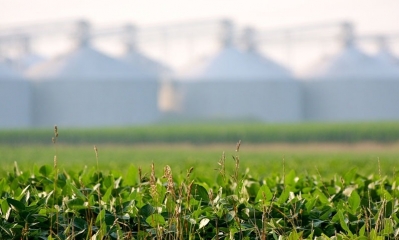 Plan de rehabilitación del sector agropecuario en medio de la pandemia por el coronavirus COVID-19