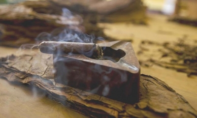 Pinar del Río, provincia al oeste de Cuba, sembró este año más de 19.000 hectáreas de tabaco y ya ha cosechado buena parte de las plantaciones.