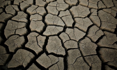 Imagen Ilustrativa. Foto: RT 
