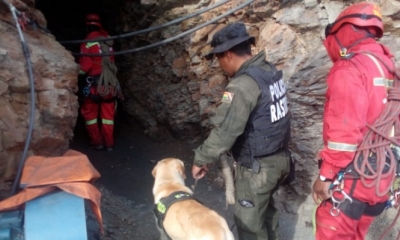 Tras la visita al lugar, la Policía descartó que hubiera sacrificio