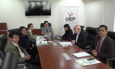 La Sala Plena del Tribunal Supremo Electoral (TSE) 