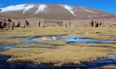 Juicio entre Bolivia y Chile por el Silala no será antes del verano de 2019
