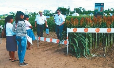 La muestra agrícola se realiza cada año con el objetivo de mostrar los adelantos tecnológicos. Foto: El Deber
