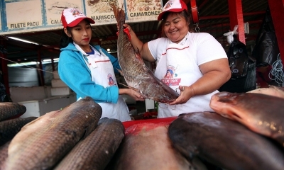 Foto: Referencial