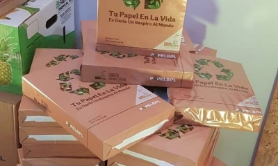 Papelbol,fue encontrada en una situación de abandono a nivel productivo, administrativo y comercial. 