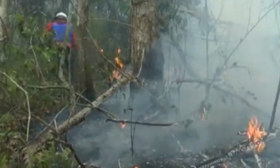 Los incendios continúan/Foto. Captura de pantalla