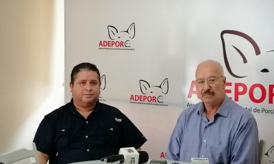 El contrabando afecta de manera determinante a los porcinocultores.